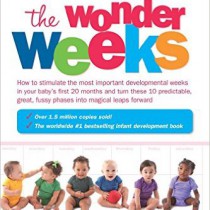 the wonder weeks book