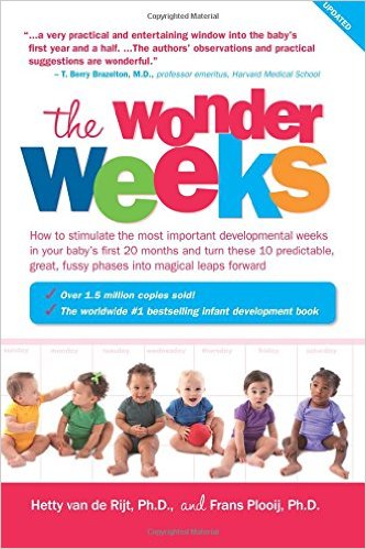 the wonder weeks book